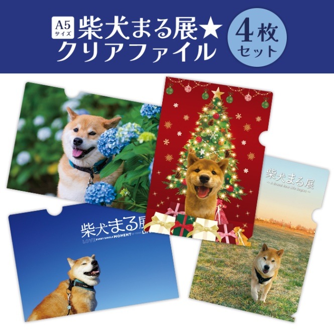 犬キャラクタークリアファイル4枚セット 犬キャラクタークリアファイル