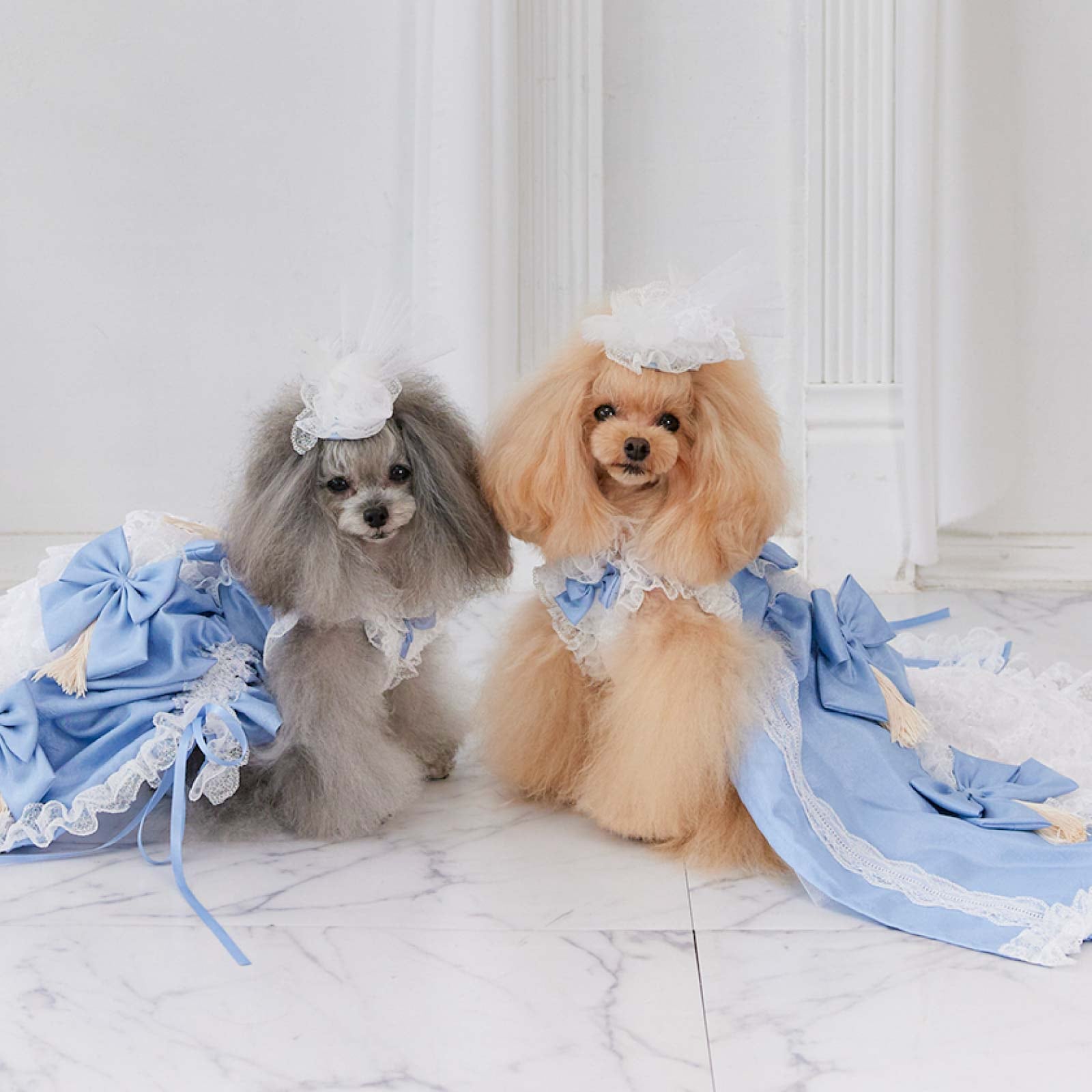 ミラクルマリー ドッグドレス [2way dress] SS-L サイズ展開