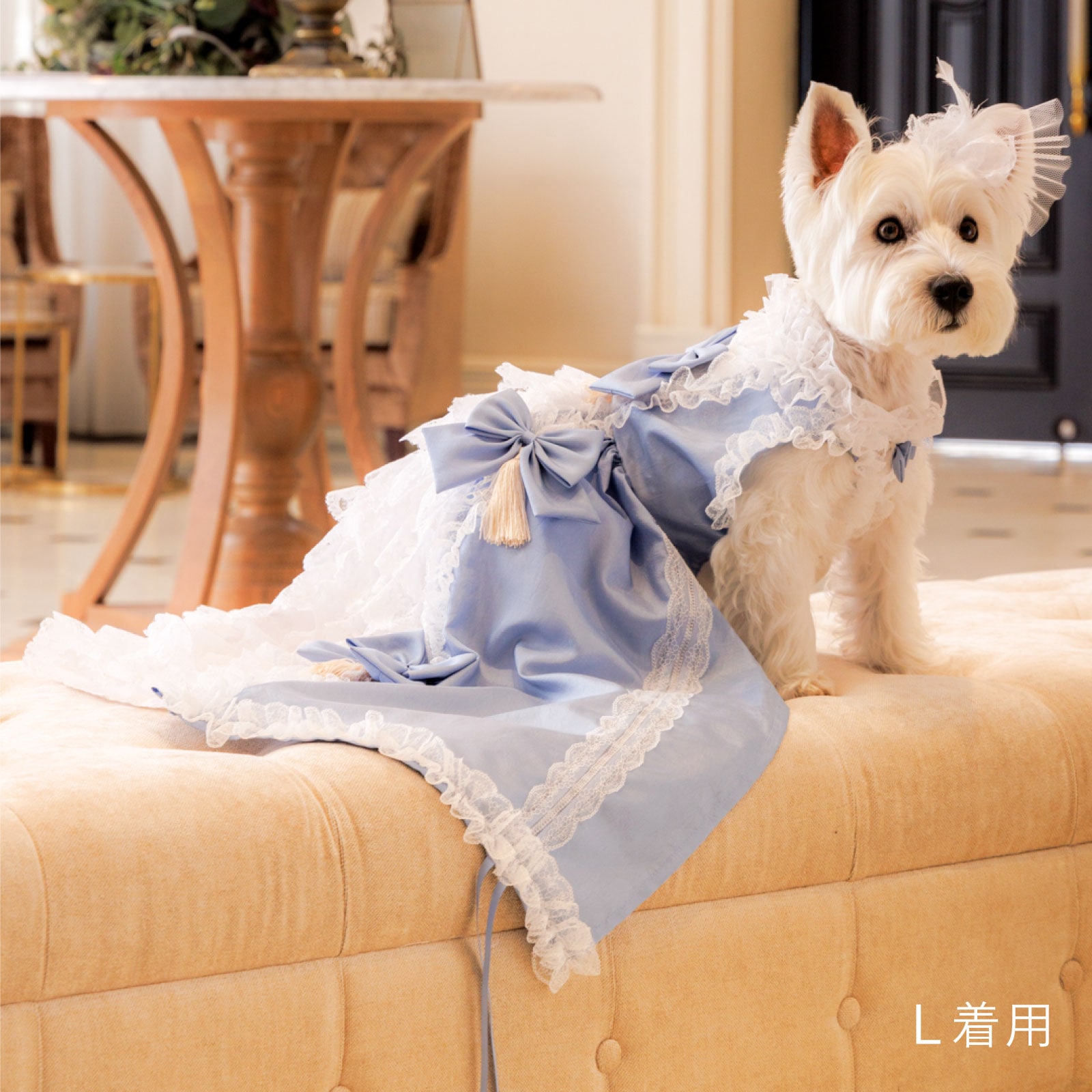 ミラクルマリー ドッグドレス [2way dress] SS-L サイズ展開