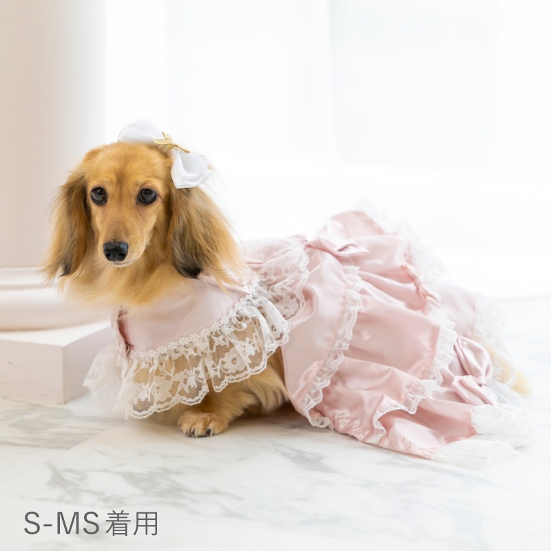 ⭐️Happy Rose⭐️ 犬服 赤い薔薇ドレス2着➕ヘドレ2 ハンドメイド