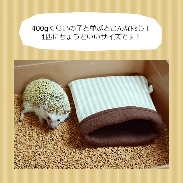 新商品】【本店限定価格】ゆうパケットOK はりねずみんみん共和国