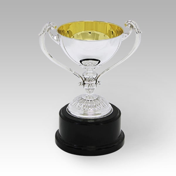 霹靂一線様 專用 銀製 優勝カップ 杯 313g 銀製SILVER 刻印有り 霹靂