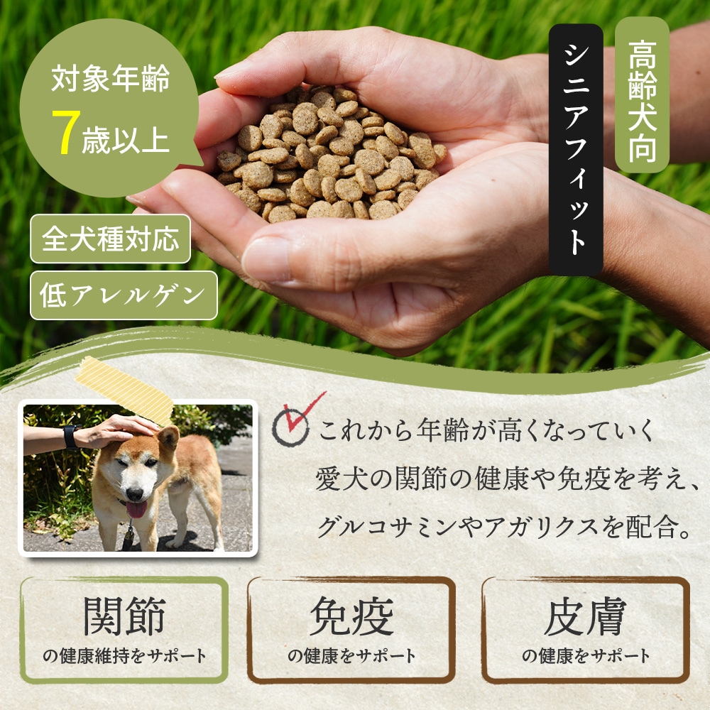 カムイピリカ12kg（3kg4袋）一生一度は与えたい神フード オン