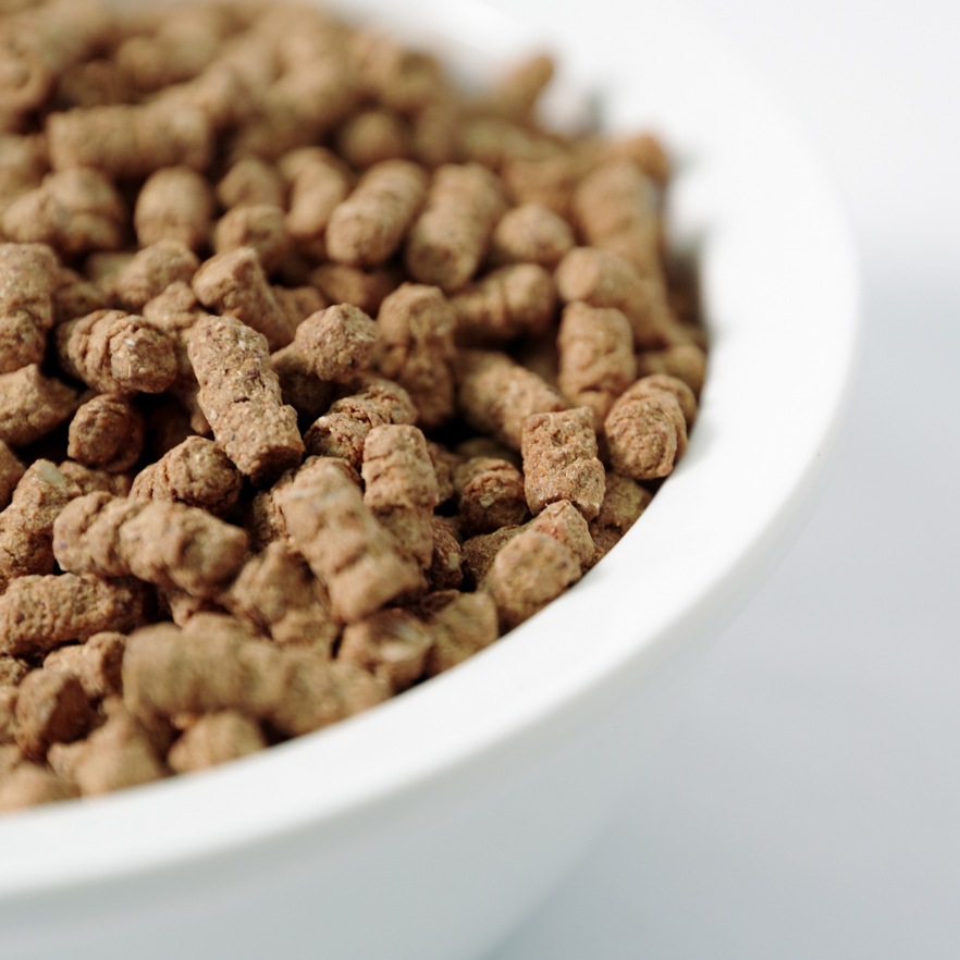 定期購入商品］ワンのごはんドッグフード ドライ国産 無添加