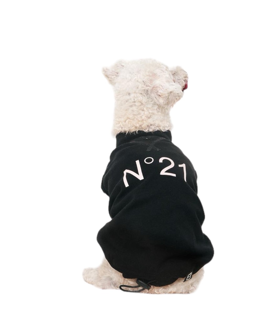 N21】 LOGO TANK - BLACK | DOG WEAR -おしゃれなドッグウェアの通販
