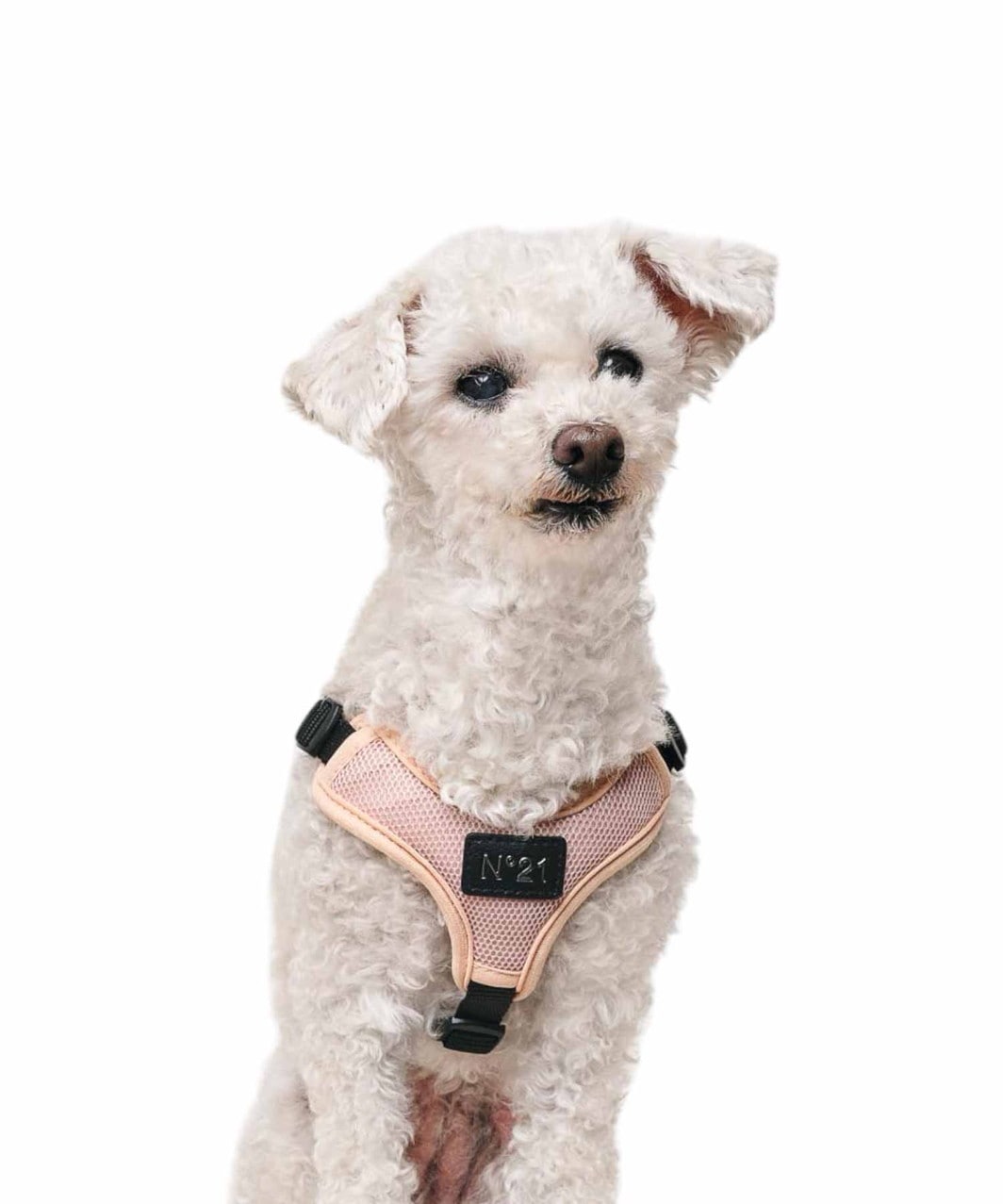 N21】 HARNESS+LEASH - BEIGE | ALL ITEMS -おしゃれなドッグウェアの