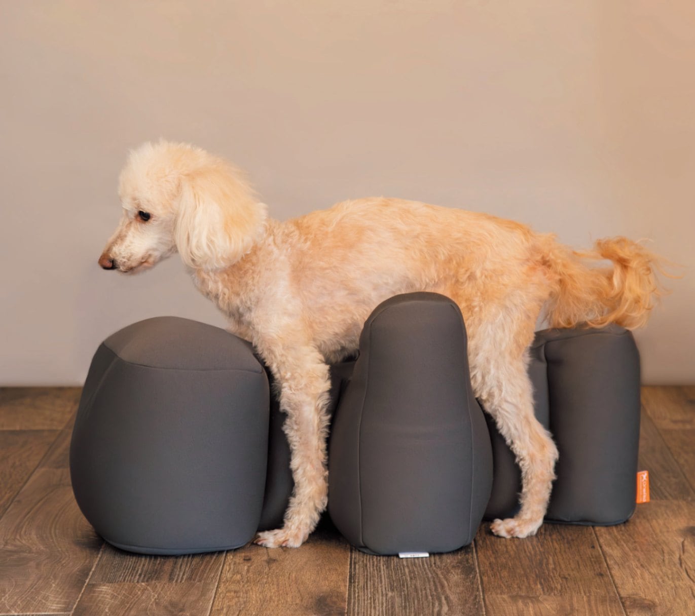 OneAid】リラクッション TP（トイプードル）カバー付き選択可能 | 犬