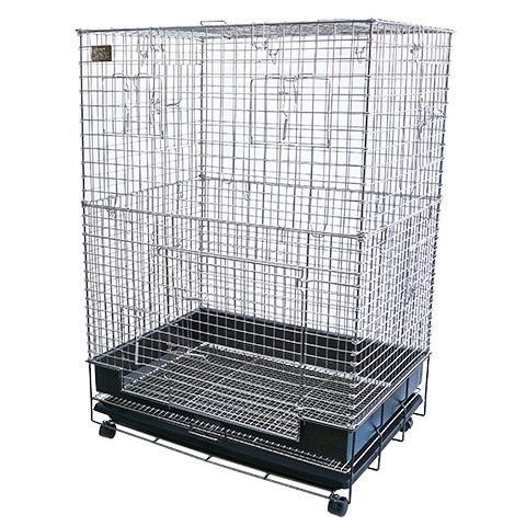 コンフォートチンチラスペシャル STグレード【一度のご注文で1個まで