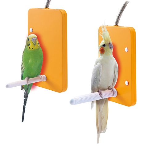 保温箱 アクリル ポリカ セキセイインコ 小鳥 インコ 文鳥 オカメインコ