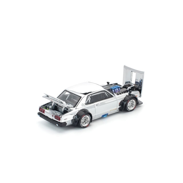 コロンビア産 クァドリツベルクラトゥスゴカクコカブト 34mm 【公式通販】