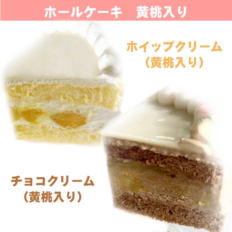 プリケーキ2025（保科宗四郎）【特典缶バッジ付き】[怪獣8号