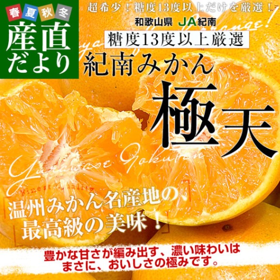 和歌山県 JA紀南 糖度13度以上 紀南みかん「極天」約5キロ LからS