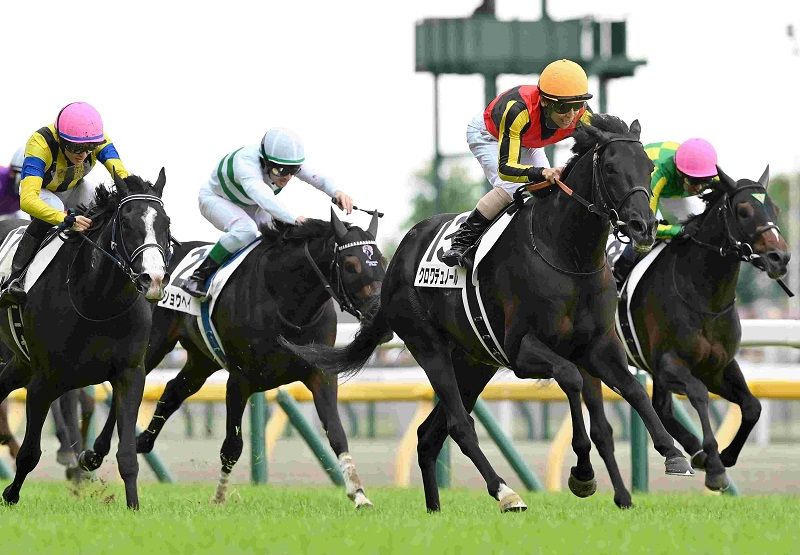 クロワデュノール メイクデビュー（新馬戦） 現地的中単勝馬券