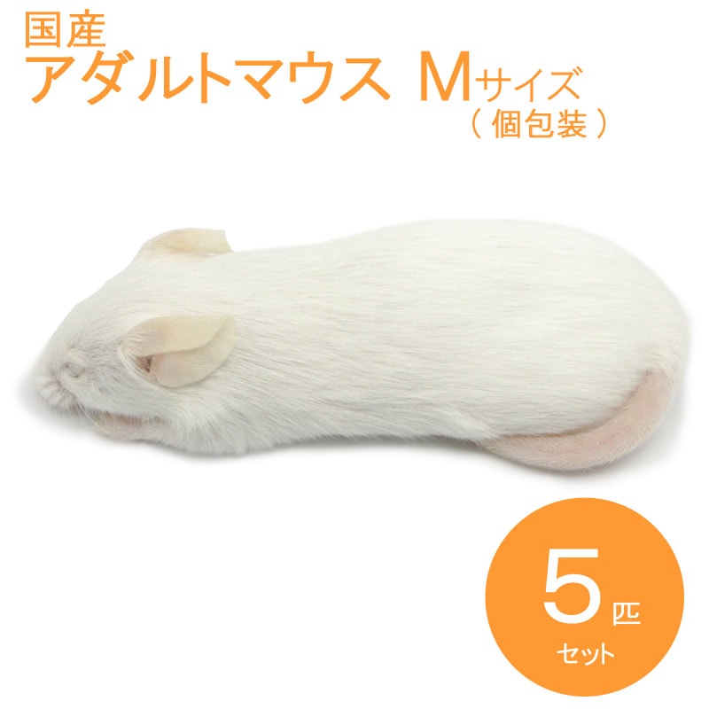 冷凍ラット(国産) 23g前後 80匹セット 【公式通販】