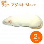 冷凍ラット | SAfarm 国産冷凍マウス・ラット専門店