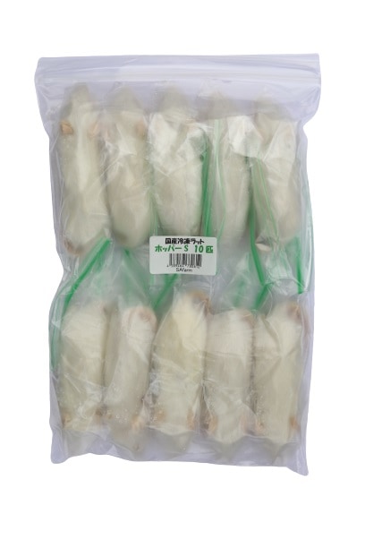 冷凍ラット ホッパーS 10匹 RHS 国産 SAafrm | 冷凍ラット,ホッパー