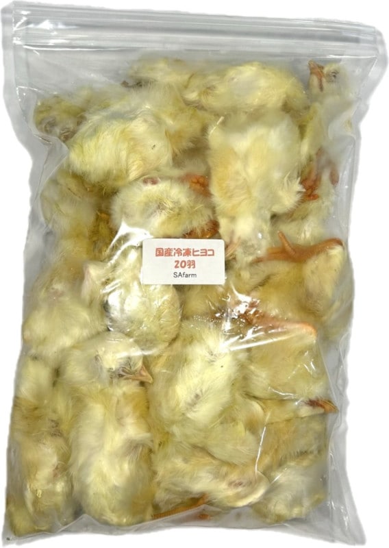 リピート購入で＋10羽】 送料無料 国産 新鮮安全 冷凍ひよこ 700羽