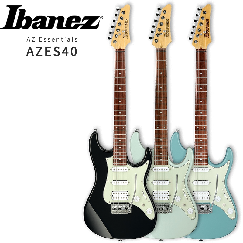 購入 江*彰様 Ibanez RG シルバー エレキギター 社外ソフトケース付き