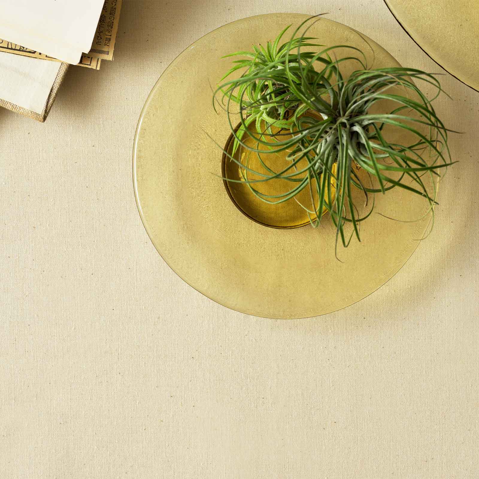 リップルプレート：丸形プレート (24cm) | 平皿 | Sghr