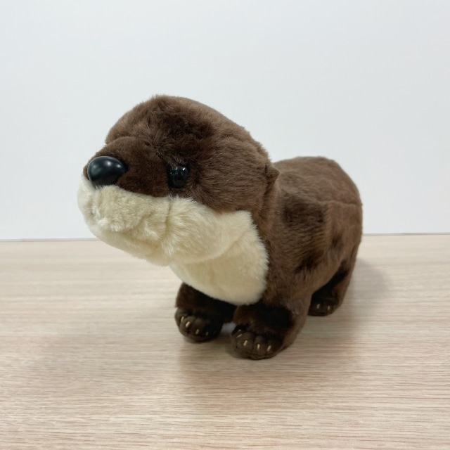水族館オリジナル】 コツメカワウソぬいぐるみ | サンシャイン水族館