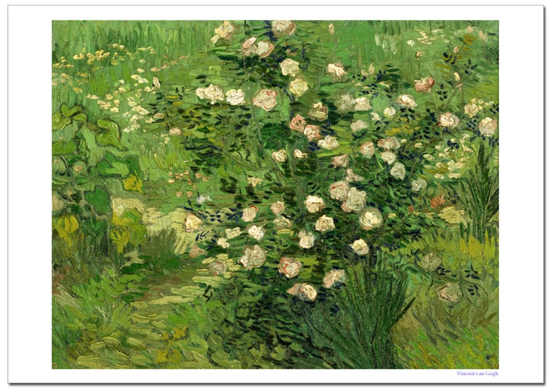 ゴッホ ばら ポスター販売