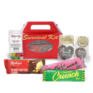 SurvivalKit-scaled_300x.jpg?v=