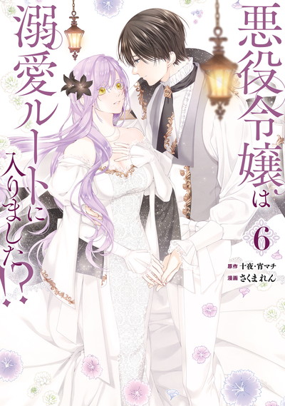 悪役令嬢は溺愛ルートに入りました！？（コミック） 6 特装版 小冊子