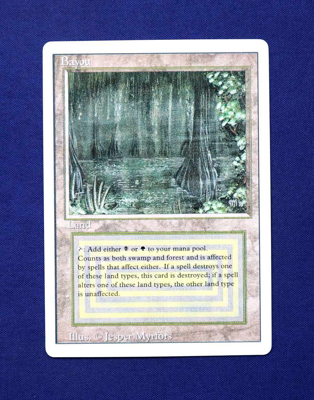 マジック：ザ・ギャザリング Bayou マジックザギャザリング Bayou