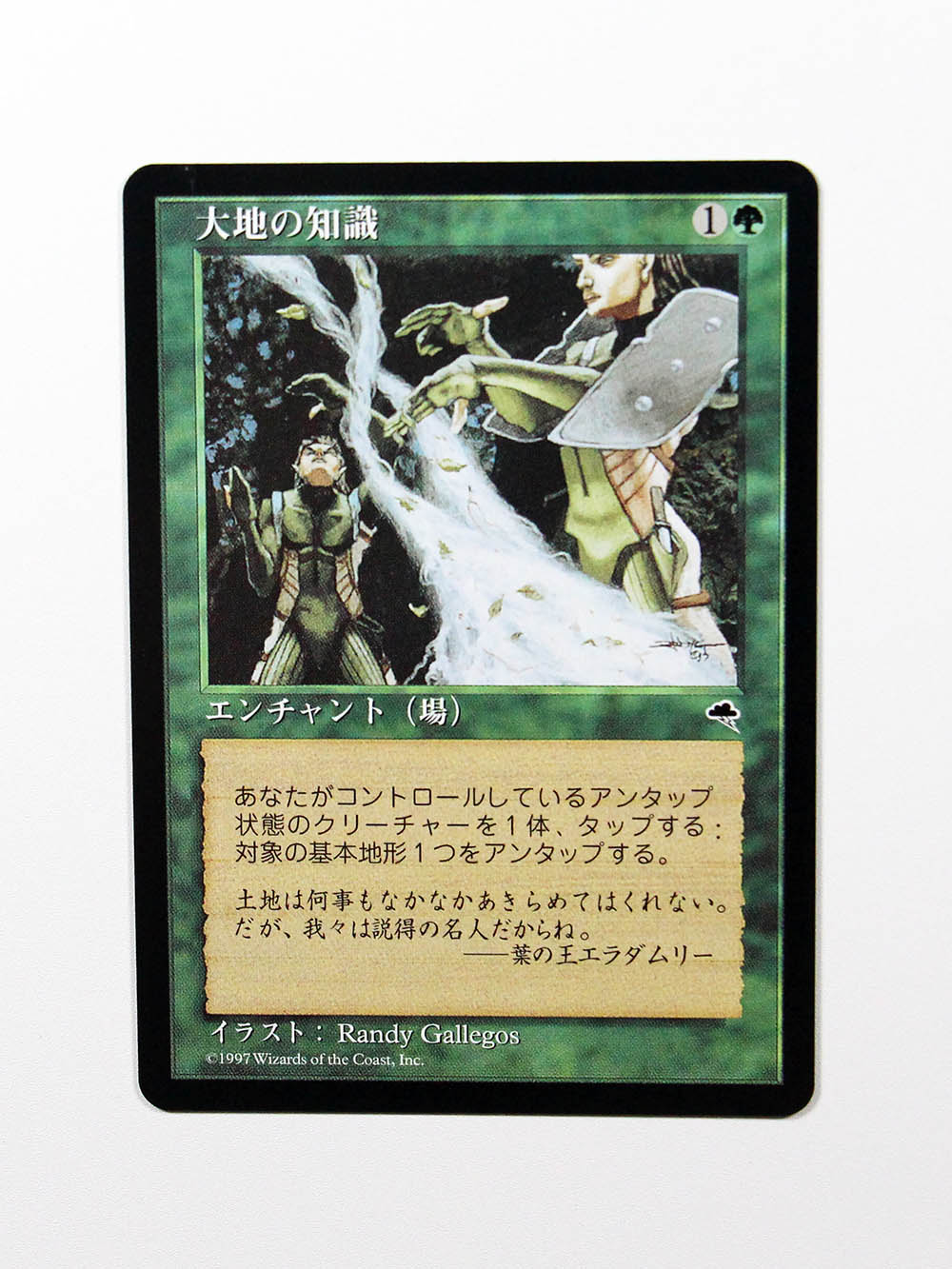 大地の知識 MTG 英)大地の知識 / Earthcraft【TMP】 No.222｜MtG通販