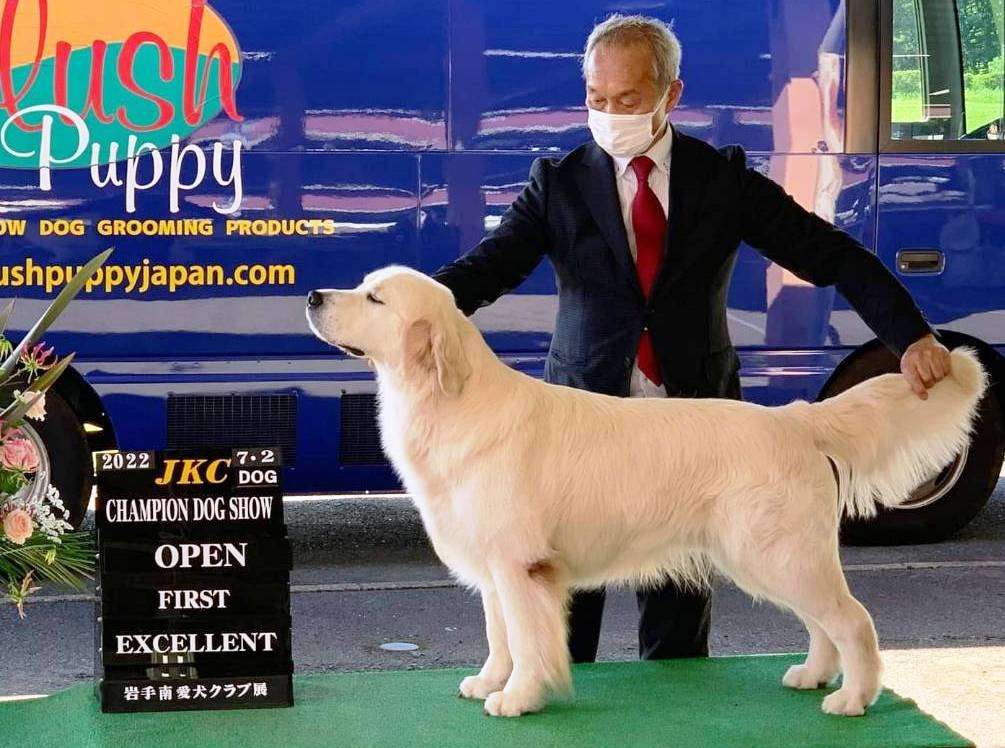 ドッグショー | ギャラリー | 千葉県のブリーダーならMagnolia Dog