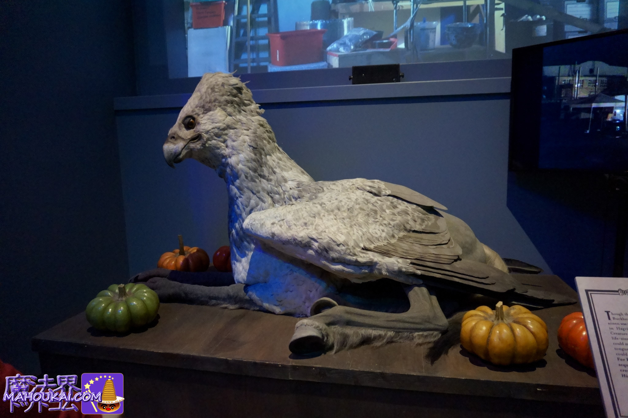 ハリポッターの鳥 ハリポッターの鳥 ヒッポグリフ | Harry Potter Wiki