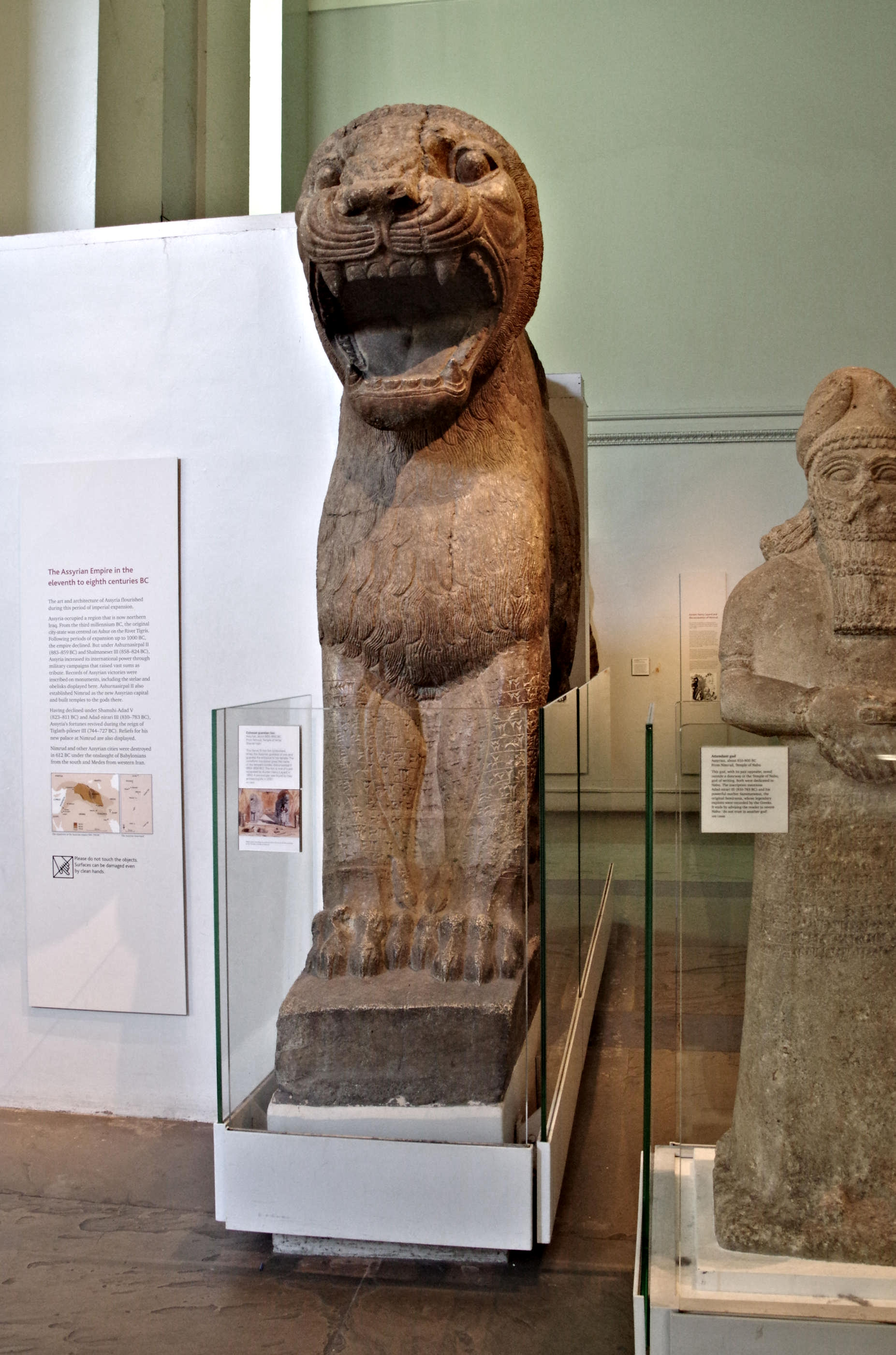 ◎古道具 庵々◎清朝中後期 木彫 守護獅子置物◎狛犬 唐物中国古美術