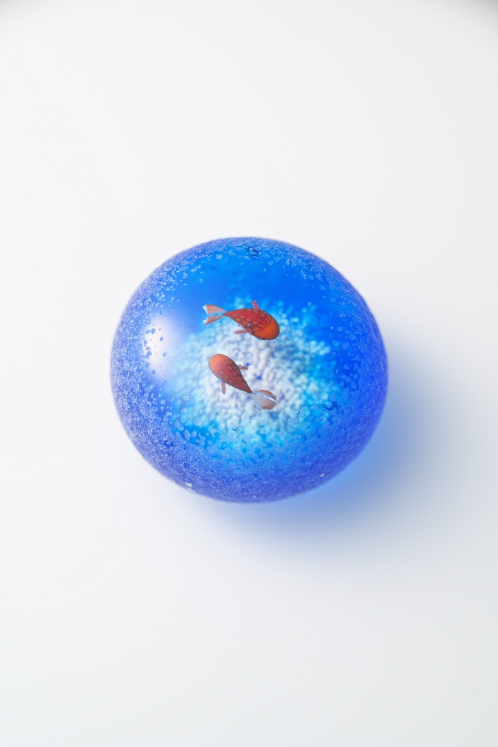 魚石類八種標本箱」Glass2H | 彩元堂：増永元 official site