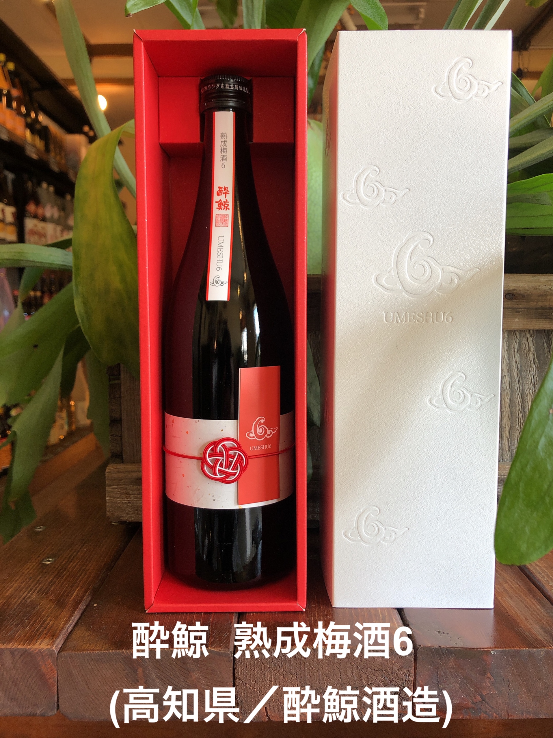 酔鯨 熟成梅酒 6（高知県/酔鯨酒造） | 季節のおすすめ酒 | 酒屋 丸長商店