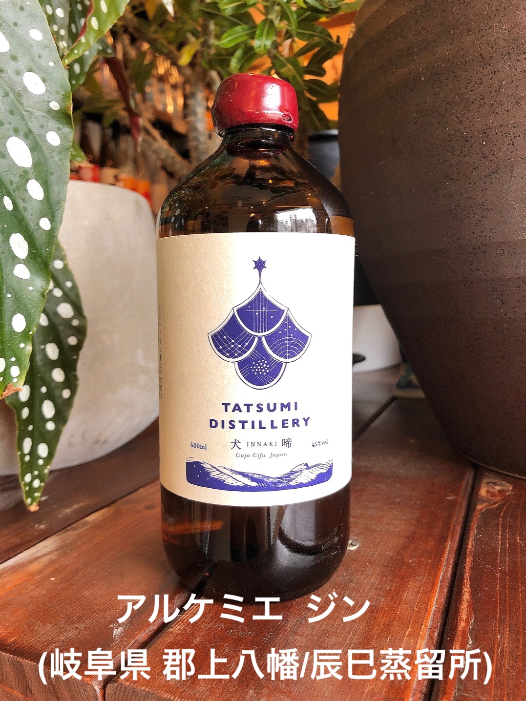 アルケミエ ジン」 （岐阜県 郡上八幡/辰巳蒸留所） | ﾋﾞｰﾙ/ｳｲｽｷｰ