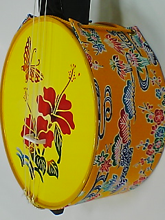 未使用】カンカン三線 カンカラ三線 ハイビスカスと蝶柄 沖縄 かんから