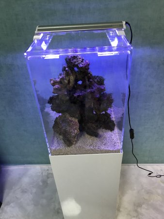 海水魚水槽の底砂（サンゴ砂）おすすめ3選！選び方・種類など完全解説