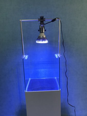 ボルクスジャパン GrassyEdge262 フレッシュ（白）LED