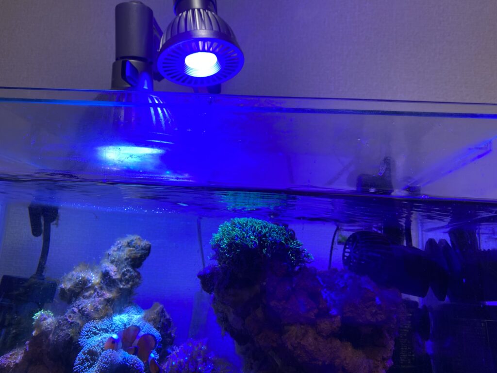 グラッシーレディオはどれを選べばいい？おすすめを紹介！