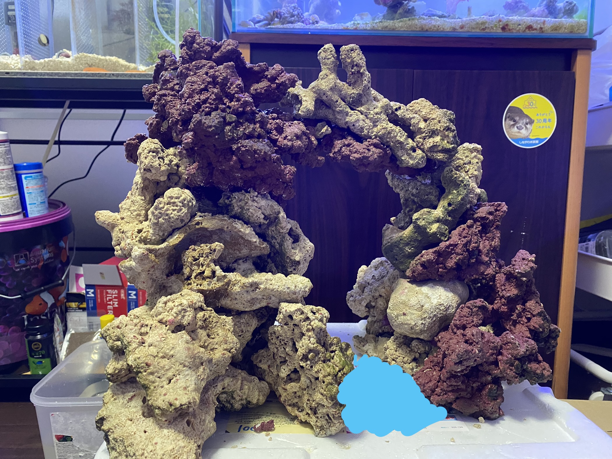 アーチデザインライブロック