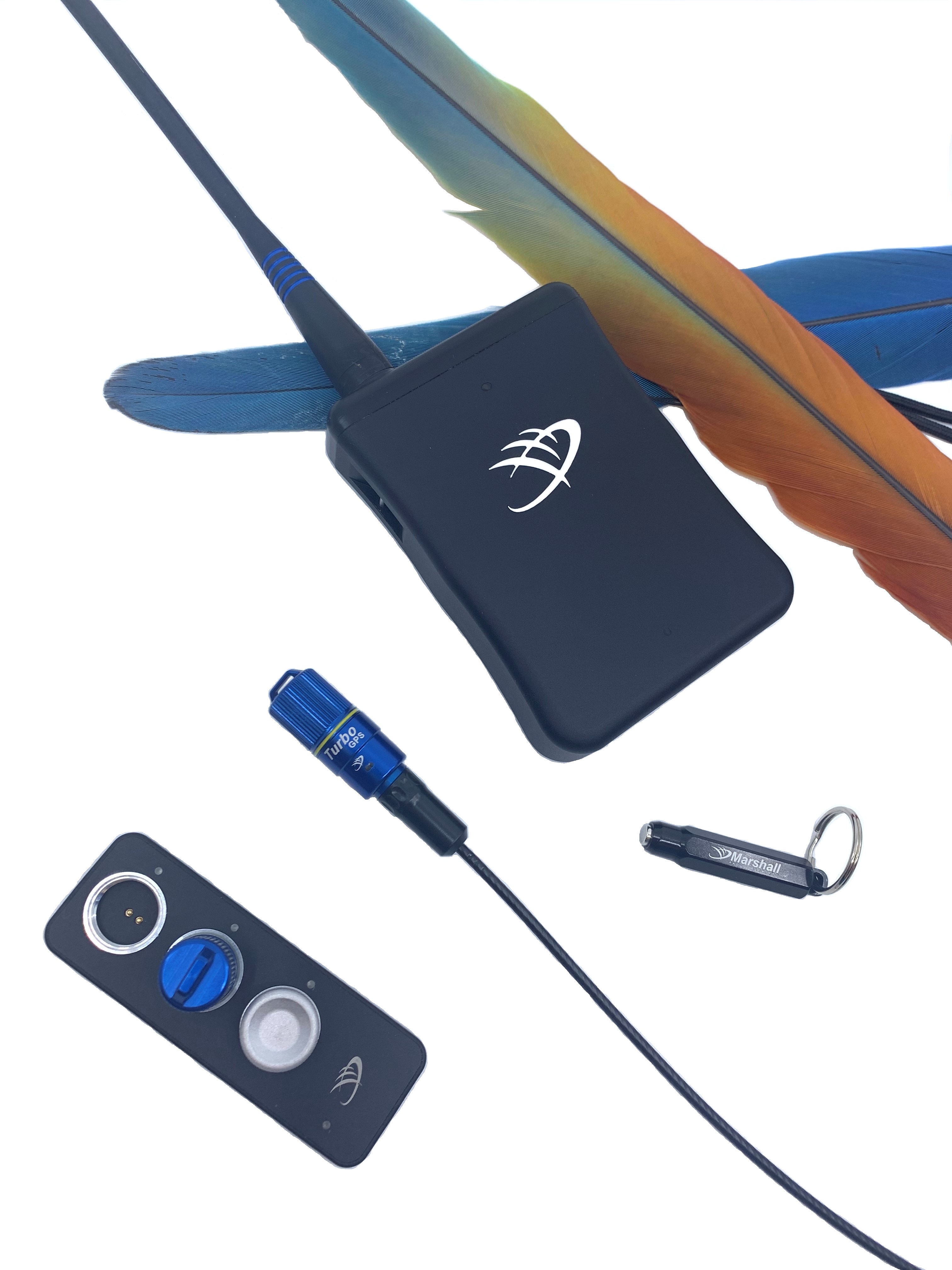 Marshall GPS Turbo 猛禽 ハヤブサ 鷹 フクロウ 発信機 オウムのための