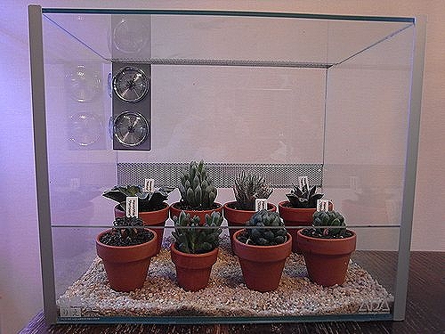 ADA 湿度計 廃盤 水草 熱帯植物 パルダリウム 部屋管理 ADA 湿度計