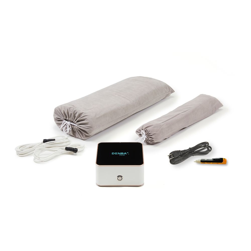 ボディ・フェイスケア DENBA healthCharge ZX DENBA HEALTH Charge