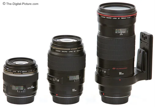 Canon EF 180mm f/3.5L USM Macro Lens Review