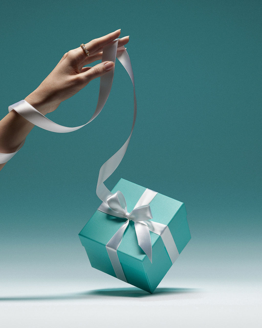 Tiffany & Co. ティファニーブルー ギフトボックス The Tiffany Blue