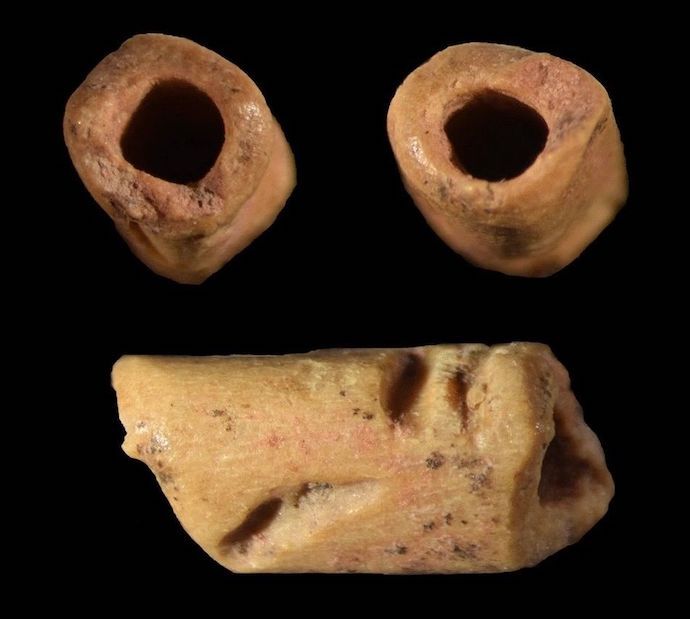 アメリカ大陸最古の工芸品？ 約13000年前に制作された骨のビーズを発掘