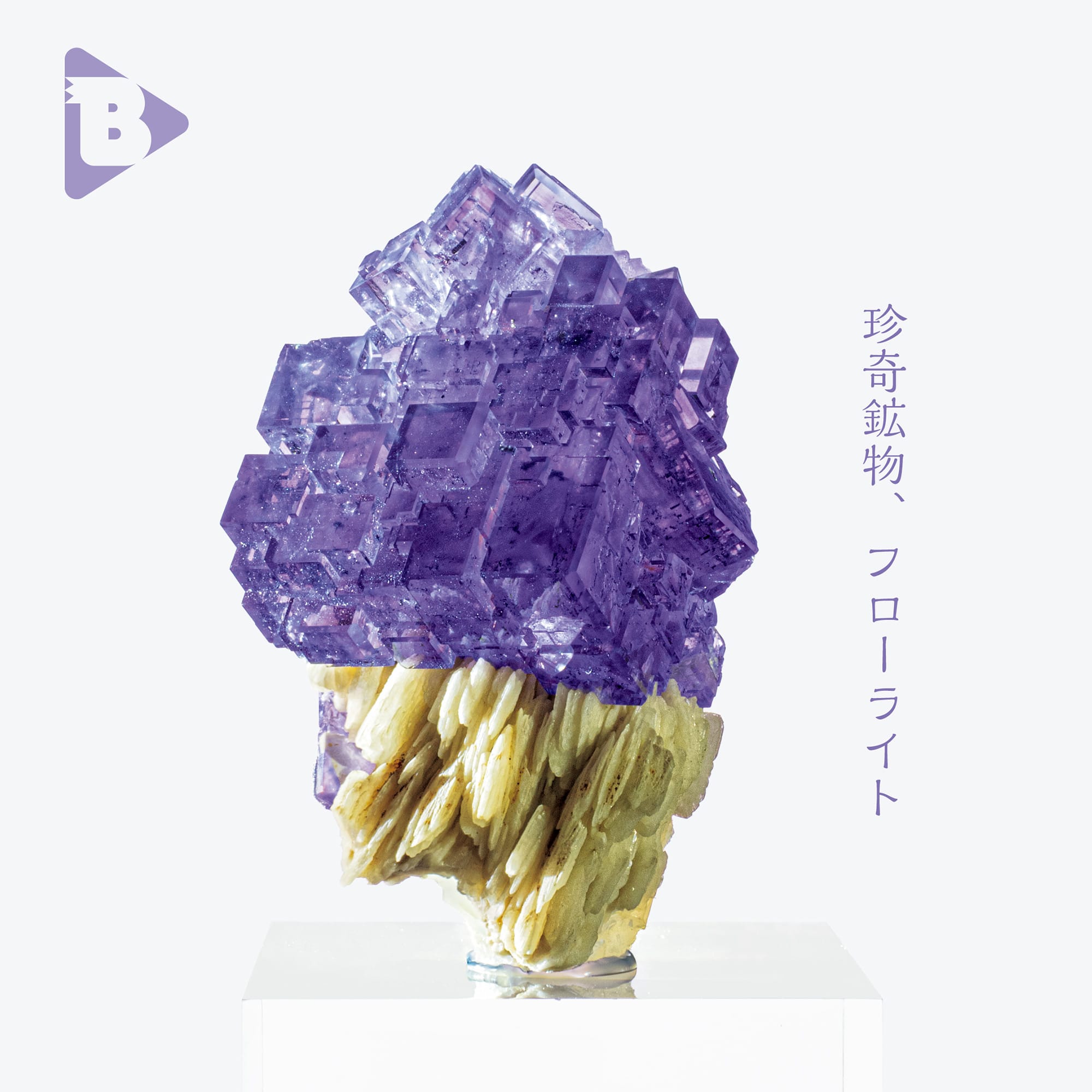 珍奇鉱物、フローライト | ブルータス| BRUTUS.jp