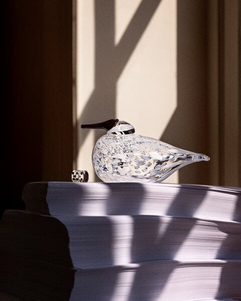 Iittala Birds by Toikka Blue Magpie, 250 x 175 mm, Seville orange