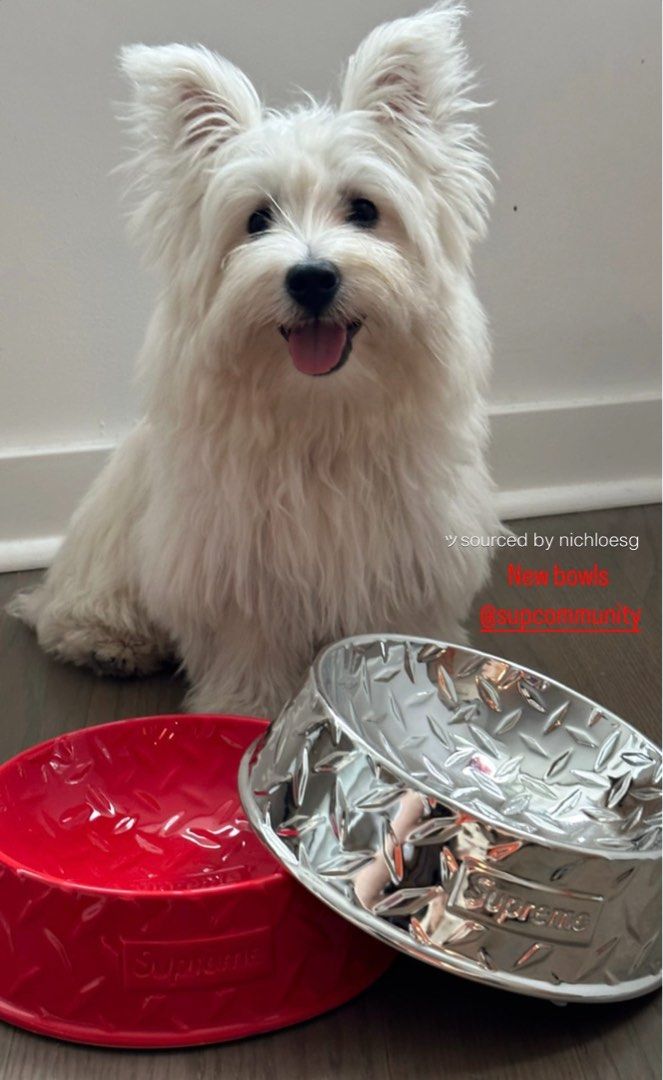 Dog Bowl Supreme Pet Supreme Dog Bowl Metal Grey Silver