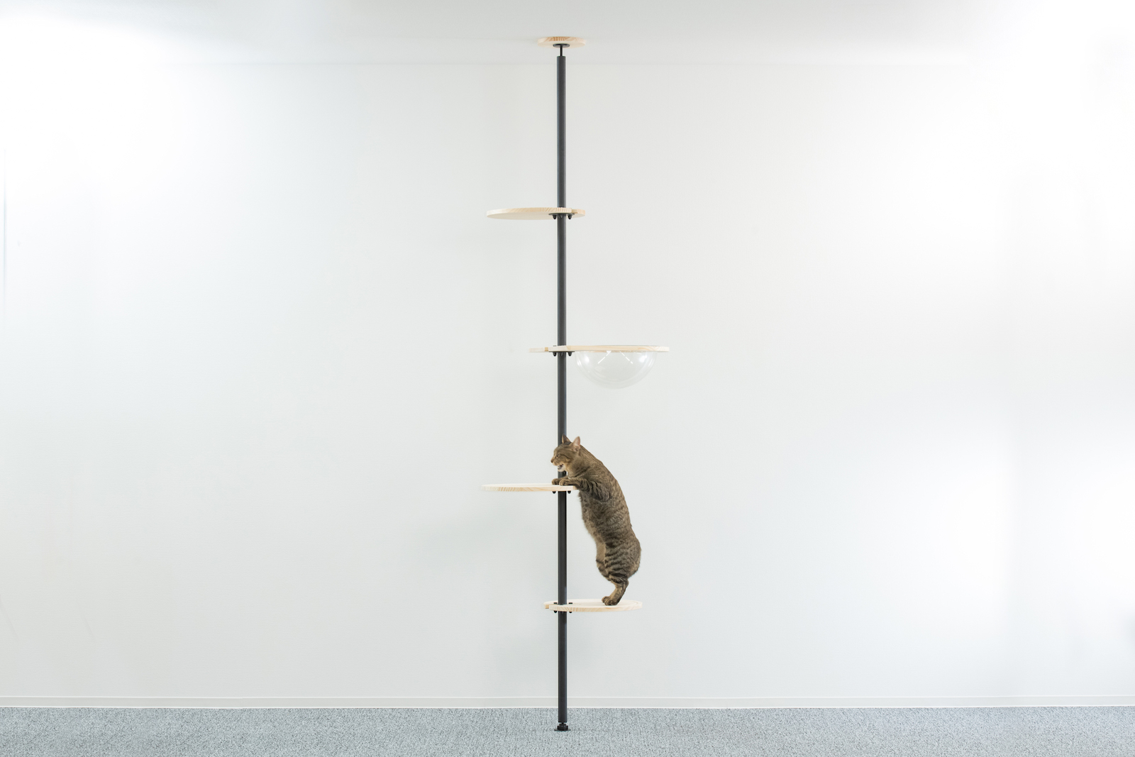 キャットタワースリムが人気！突っ張り型の特徴と選び方｜おすすめ木製